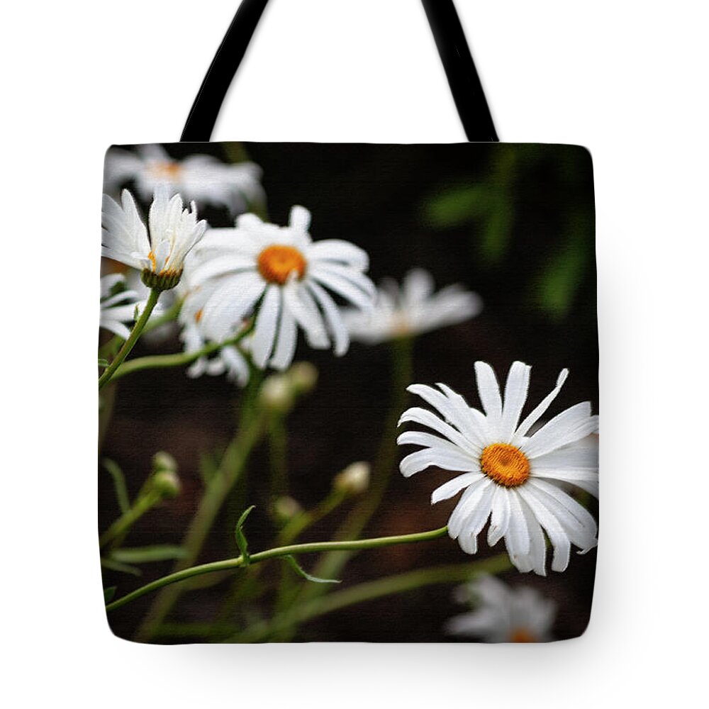 Photograph Tote Bag featuring the photograph A Profusion of Daisies by Suzanne Gaff