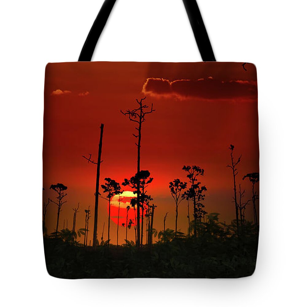 Sunset Tote Bag featuring the photograph A Quiet Place by Mark Andrew Thomas