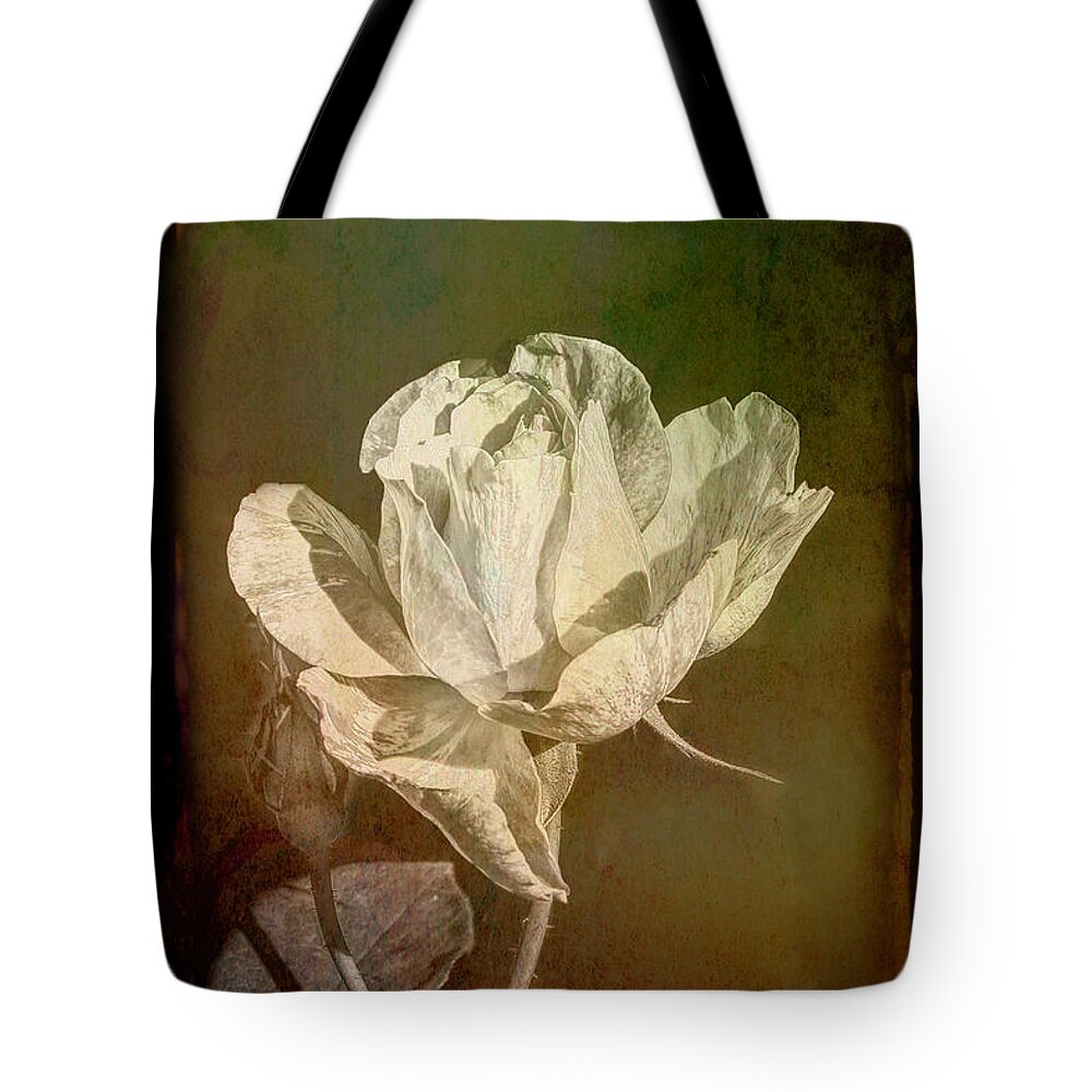 Rose Tote Bag featuring the photograph A Rose is still a Rose Whatever its Colour by Elaine Teague