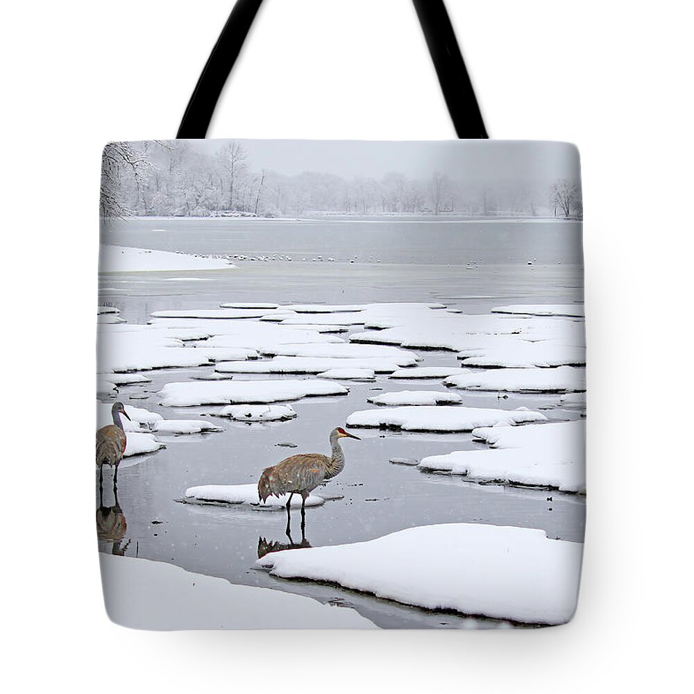 Sandhill Crane Tote Bag featuring the photograph A Sandhill Crane Couple in a Michigan Winter Wonderland by Shixing Wen