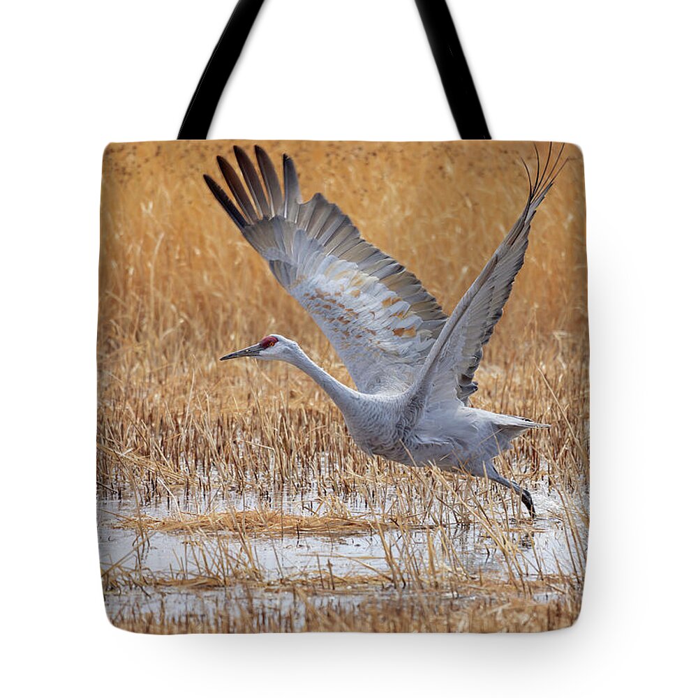 Bosque Del Apache Tote Bag featuring the photograph A Sandhill Takes Flight 4 by Susan Rissi Tregoning