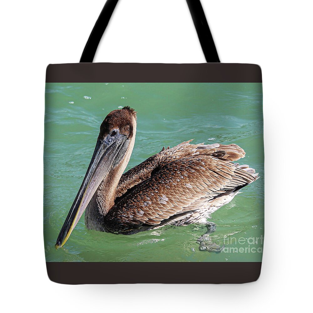 Brown Pelican Tote Bag featuring the photograph A Sarasota Bay's Pelican by Joanne Carey