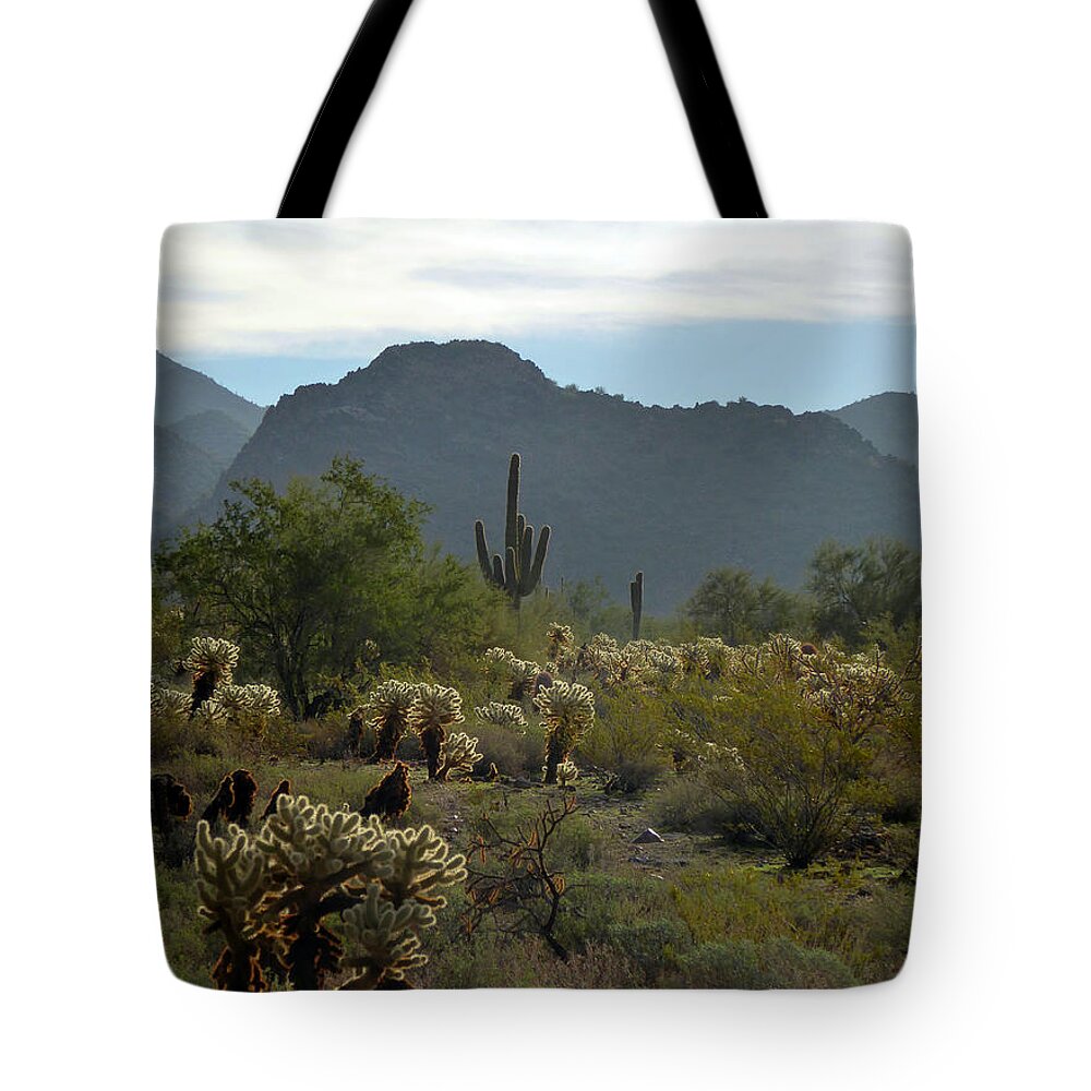 Southwestern Tote Bag featuring the photograph A Scottsdale Vista by Gordon Beck
