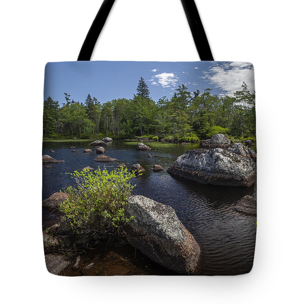 Late Spring Tote Bag featuring the photograph A small rocky lake near Maple Lake by Irwin Barrett
