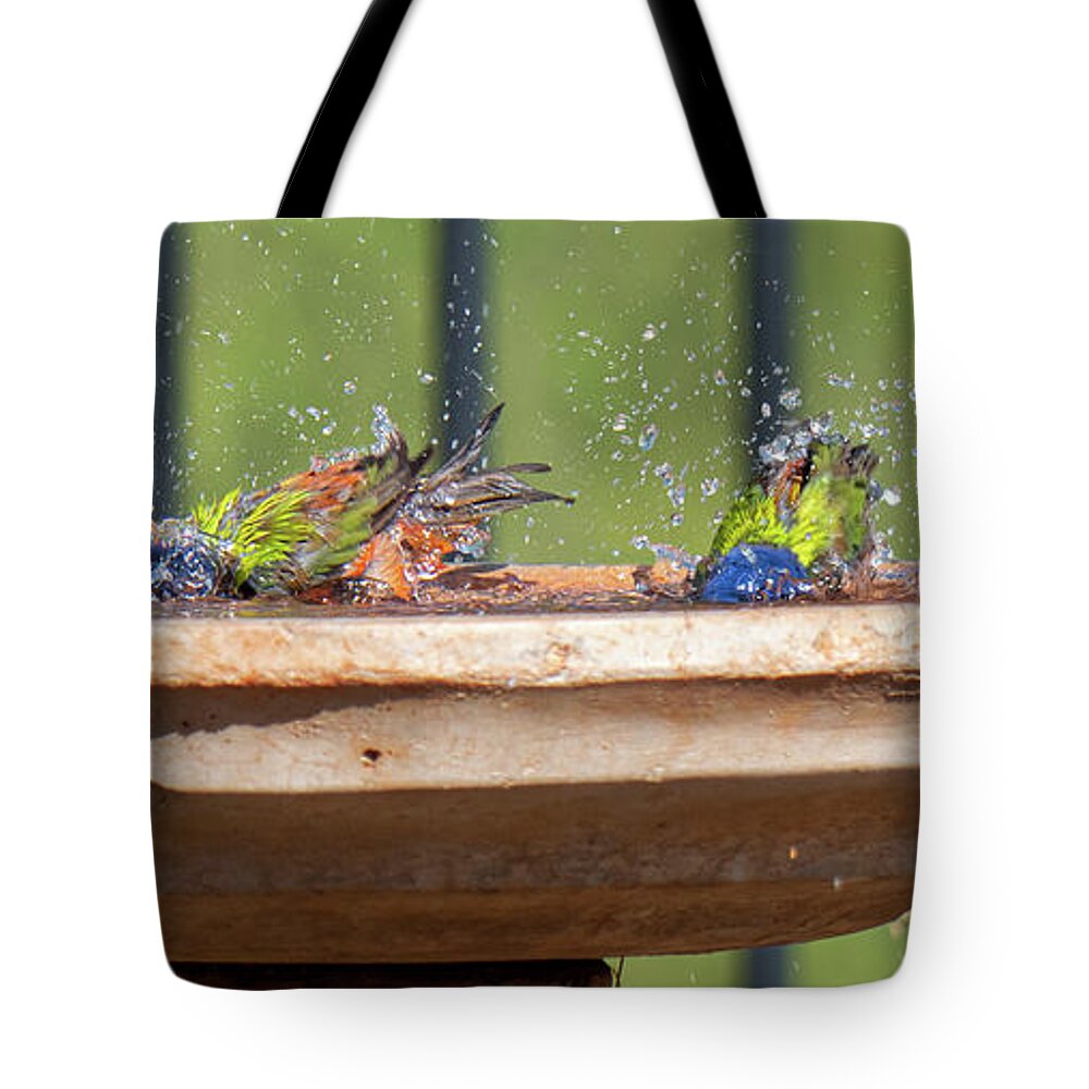 Paintedbunting Tote Bag featuring the digital art A SPLASH of Color by Steve Templetoon