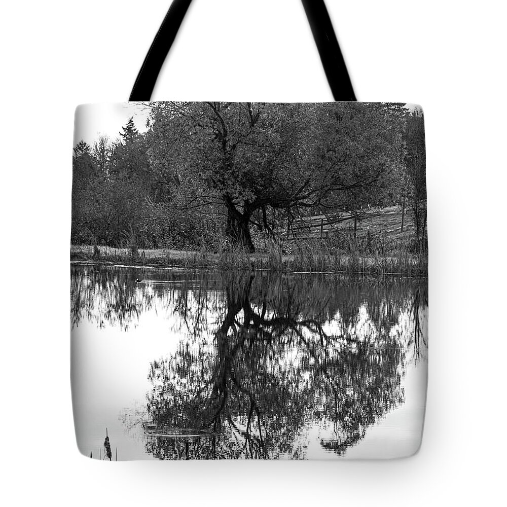 Black Tote Bag featuring the photograph A Stately Oak by Leslie Struxness