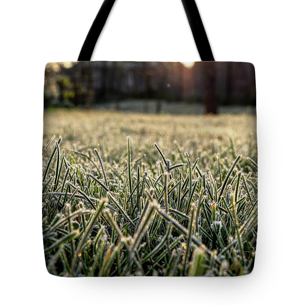 Environment Tote Bag featuring the photograph Stem of grass are covering snow. by Vaclav Sonnek