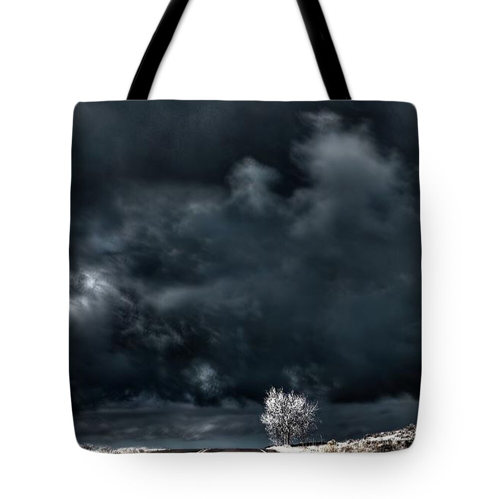 Cottonwood Tote Bag featuring the photograph A Storm at Cottonwood End by Wayne King