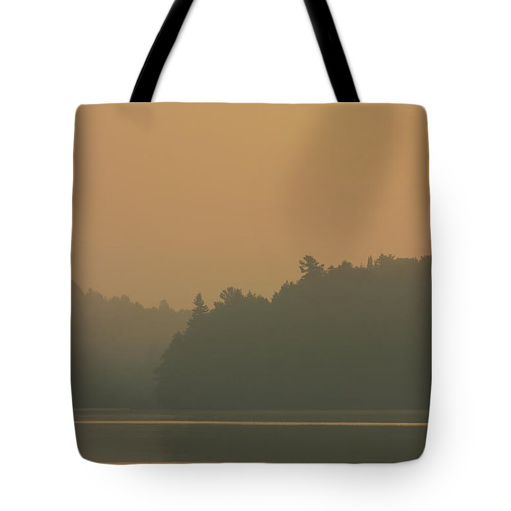 Loons Tote Bag featuring the photograph A Summer Dream - Common Loon - Gavia Immer by Spencer Bush