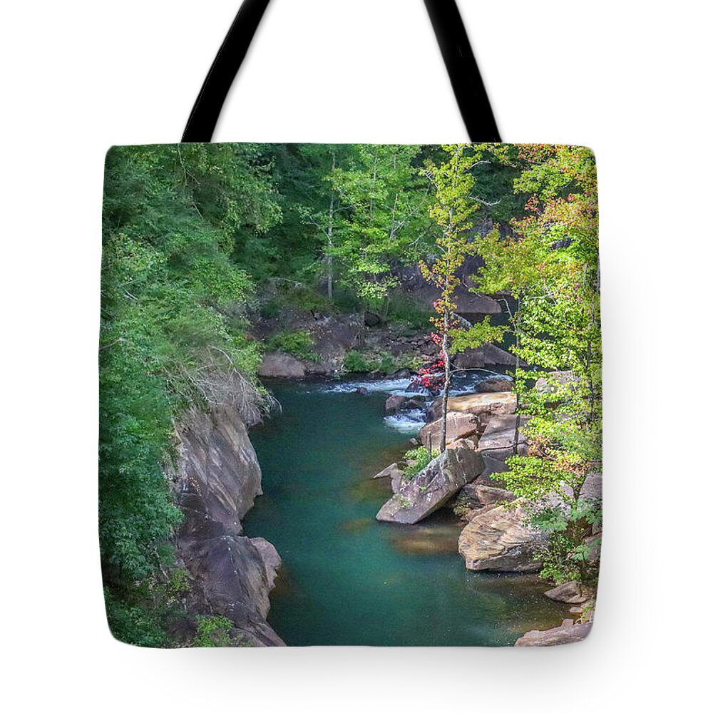 Tallulah Gorge Tote Bag featuring the photograph A Tallulah Gorge Corner by Ed Williams