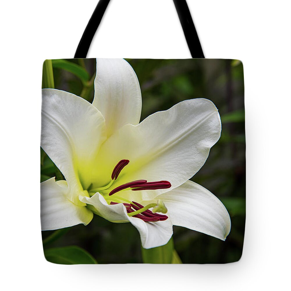 Lilies Tote Bag featuring the photograph A Touch of Yellow Lily by Lynn Thomas Amber