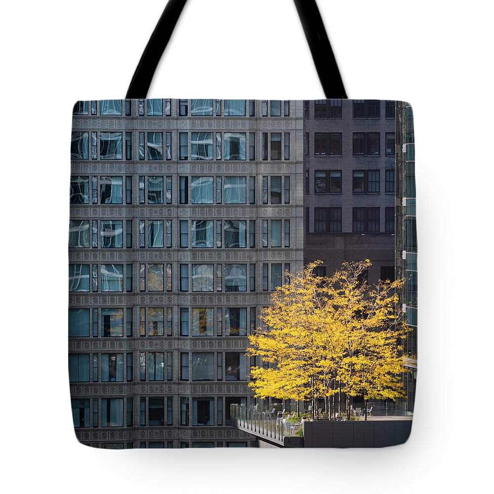 Windy Tote Bag featuring the photograph A Tree Grows in the Windy City by Christi Kraft
