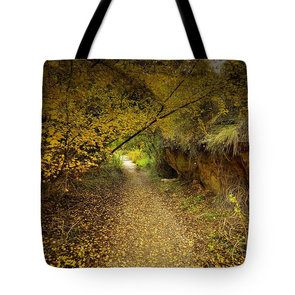 Autumnal Tote Bag featuring the photograph A True Autumn Day by Laura Putman