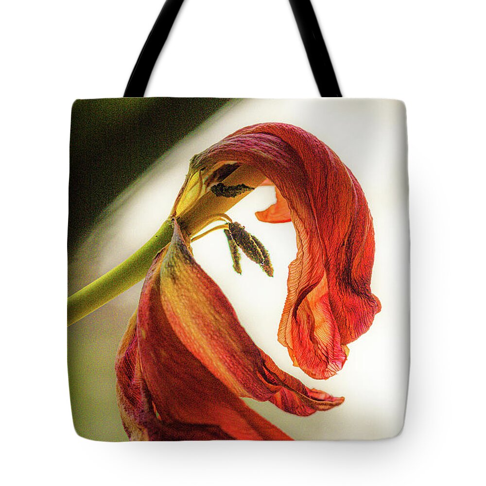 Bloem Tote Bag featuring the photograph A tulip's last bow by Casper Cammeraat