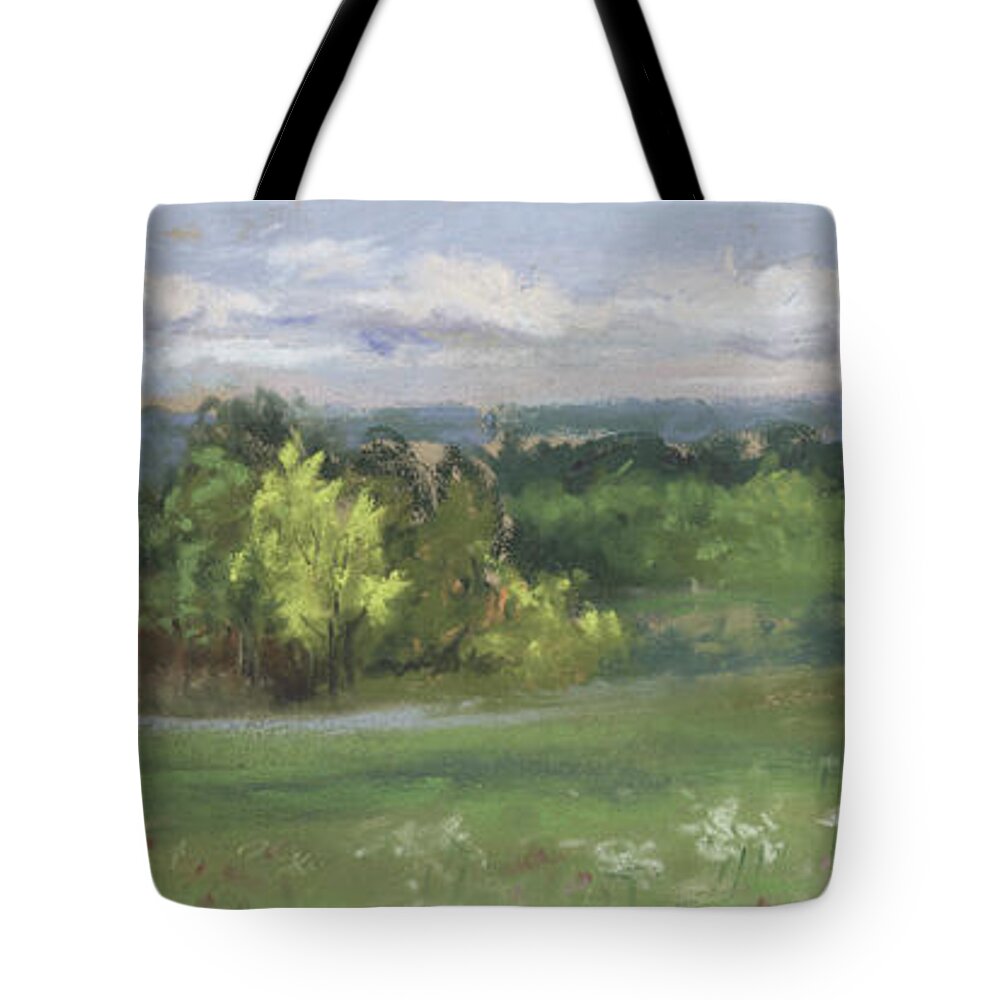 Ohio Landscape Painting Tote Bag featuring the painting A view of Ashland Country From the Hill at Byers Woods by Terri Meyer