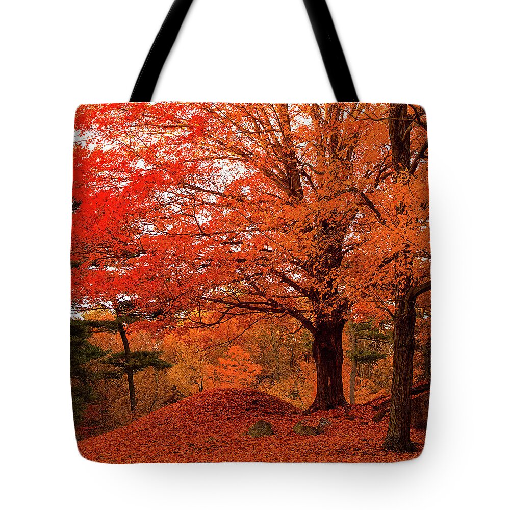 Peabody Massachusetts Tote Bag featuring the photograph A walk in Peabody Massachusetts by Jeff Folger
