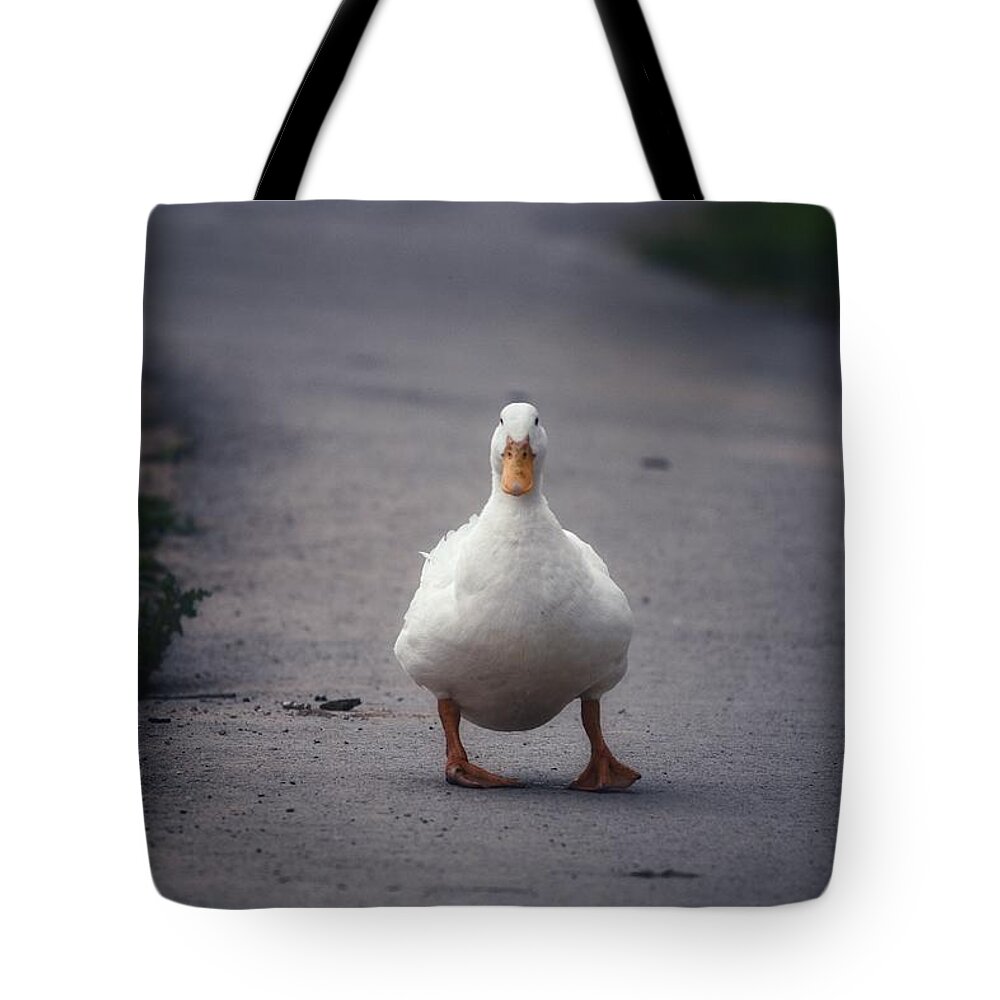 Photo Tote Bag featuring the photograph A walk in the Park by Evan Foster
