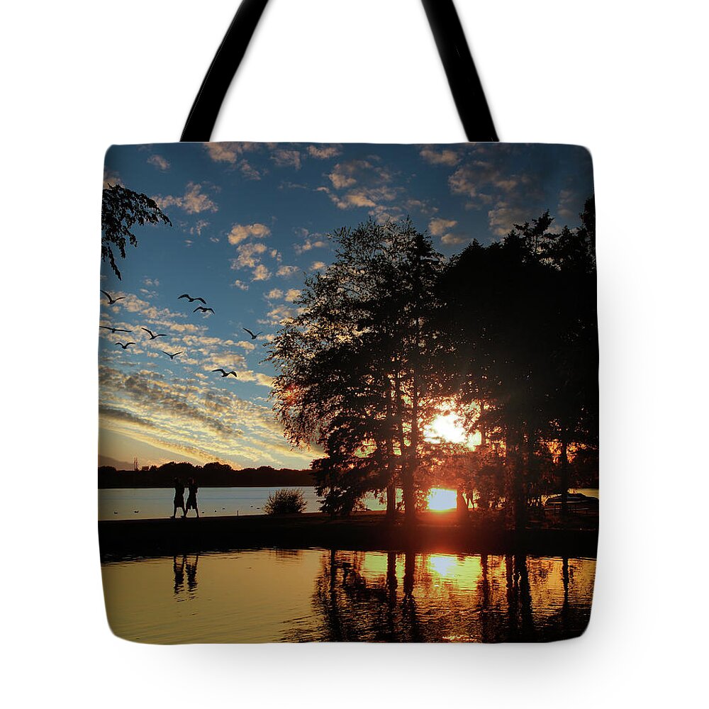 Sun Tote Bag featuring the photograph A walk in the park by Scott Olsen