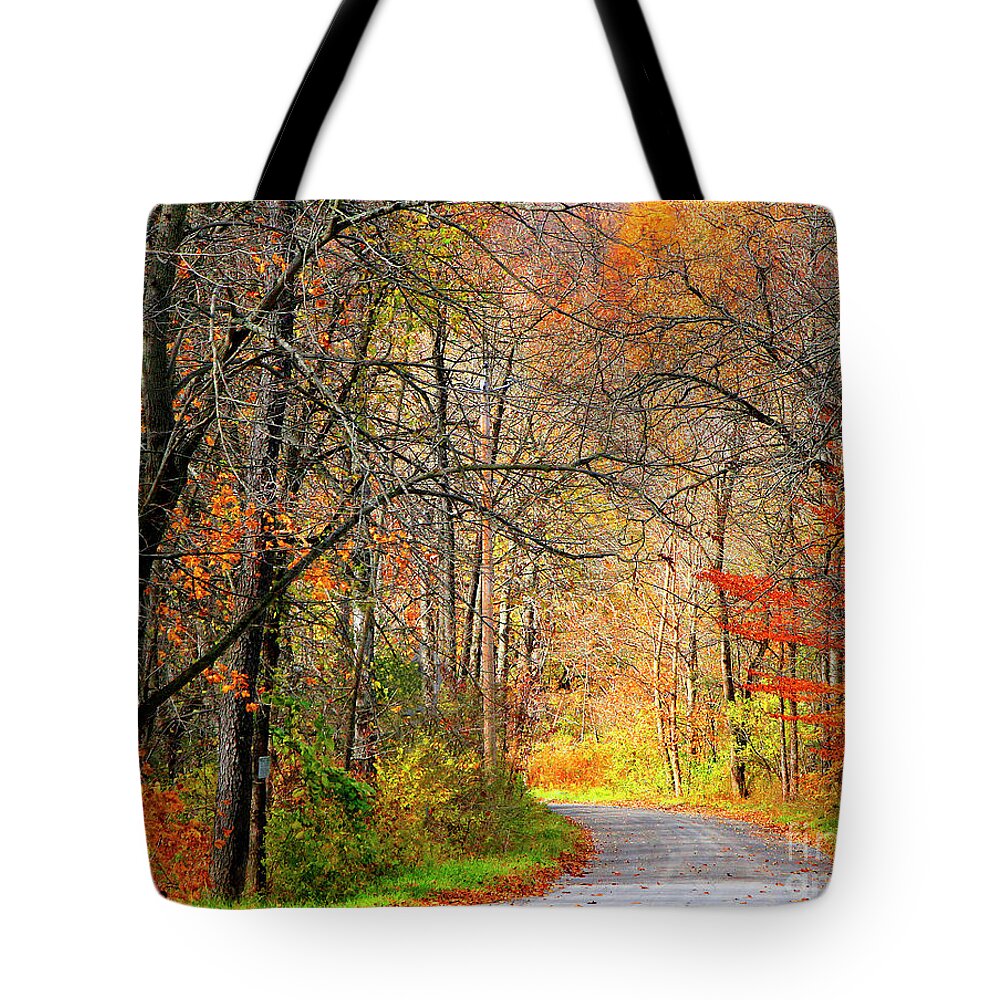 Landscape Tote Bag featuring the photograph A Walk in the Woods by Mariarosa Rockefeller