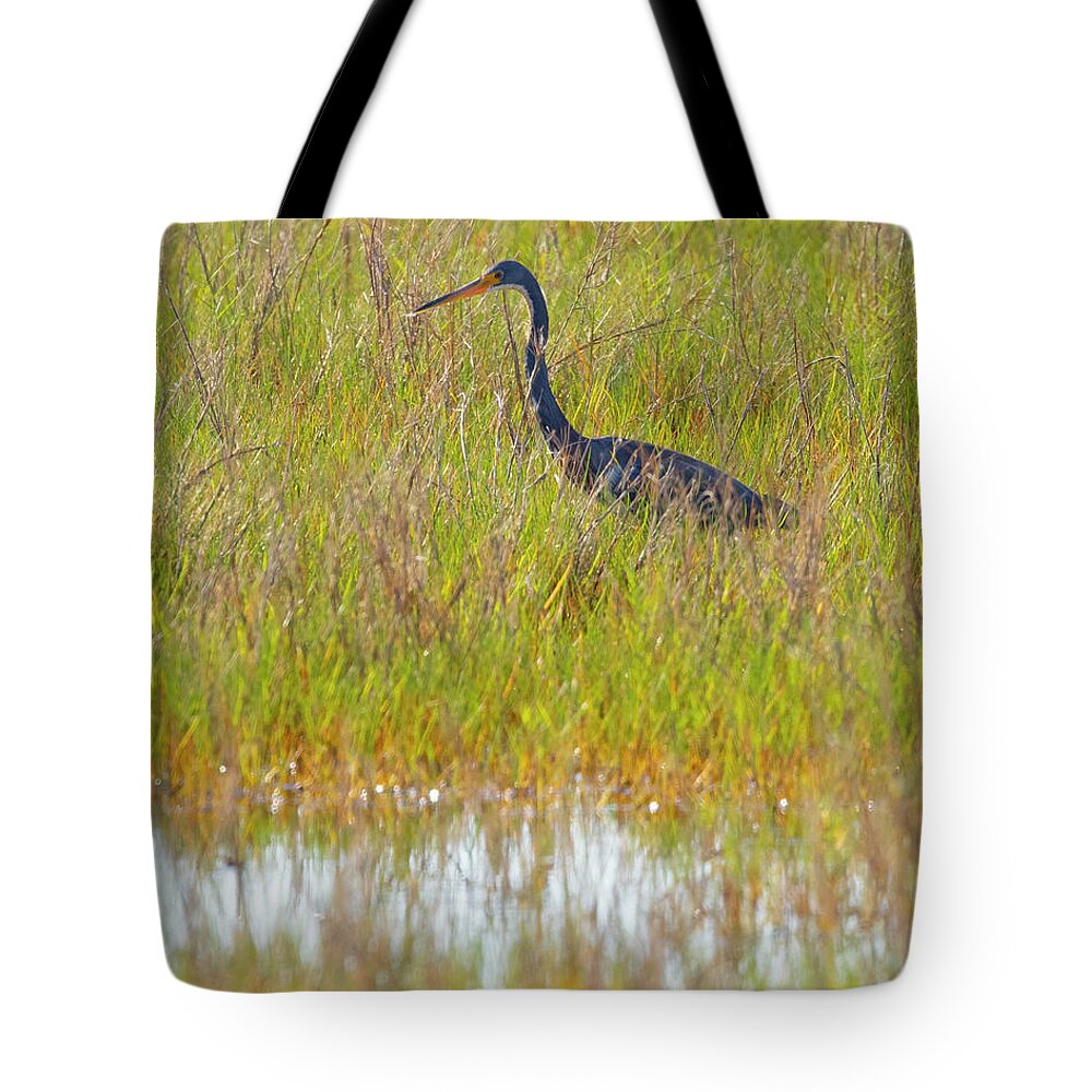 R5-2669 Tote Bag featuring the photograph A Youngster out in the Grasslands by Gordon Elwell