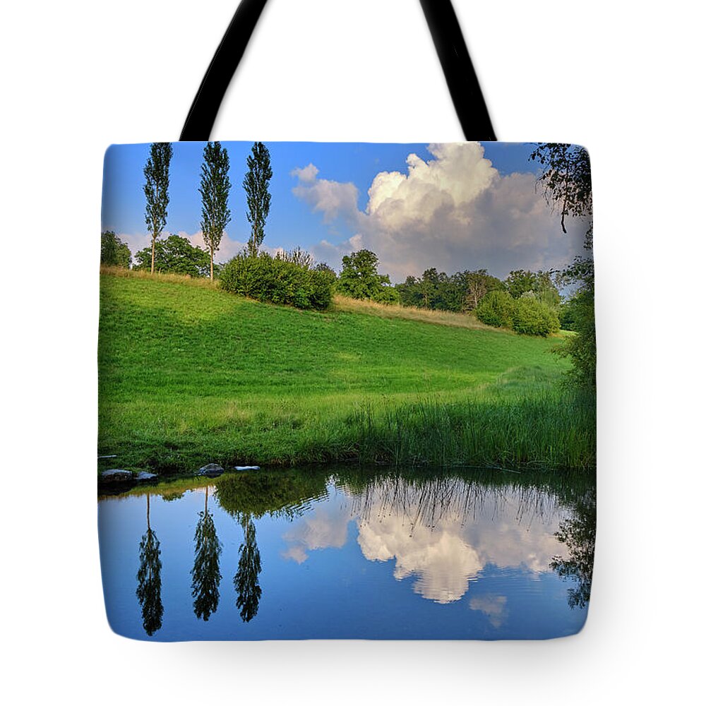 Sunset Color Tote Bag featuring the photograph Aare river. Berna. Switzerland by Guido Montanes Castillo