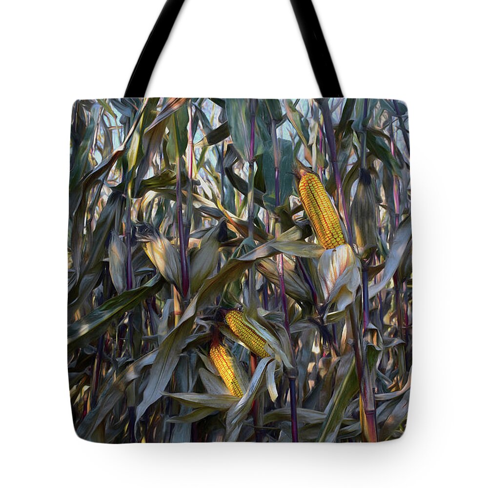 Corn Tote Bag featuring the photograph Abandoned Cornfield by Wayne King
