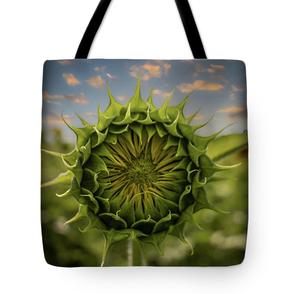 Sunflower Tote Bag featuring the photograph About To Pop Out by Rick Nelson