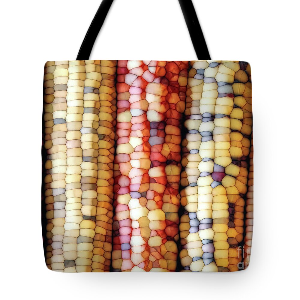 Indian Corn Tote Bag featuring the digital art Abstract Indian Corn by Phil Perkins