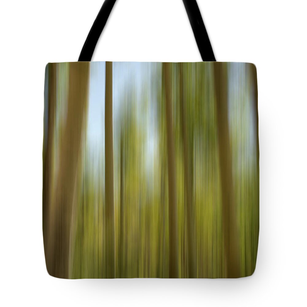 Colorado Tote Bag featuring the photograph Abstract of Young Aspens by Kevin Schwalbe