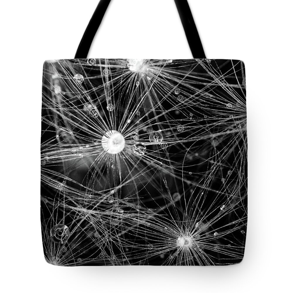 Waterdrops Tote Bag featuring the photograph Abstract Waterdrops by Crystal Wightman