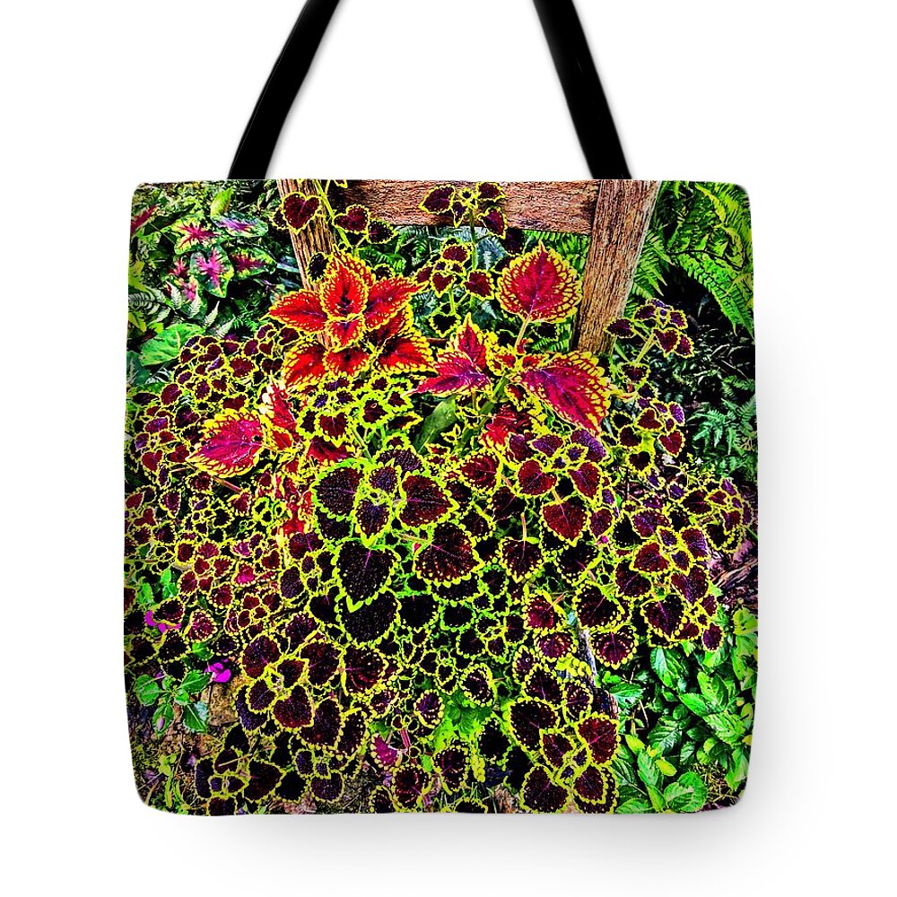 Coleus Chair Brown Red Yellow Green Leaves Plants Colorful Foliage Tote Bag featuring the photograph Abundant Coleus by Allen Nice-Webb