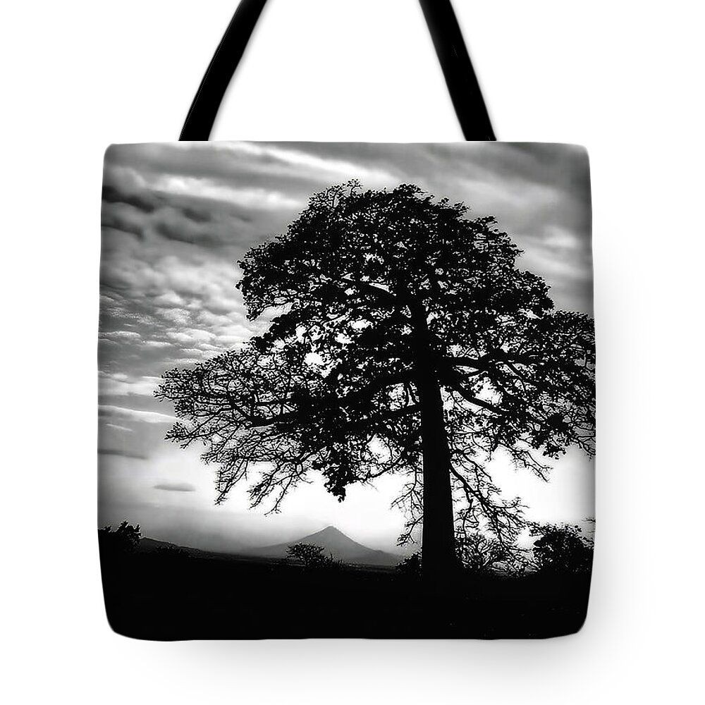 Acacia Tote Bag featuring the photograph Acacia and Volcano Silhouetted by Wayne King