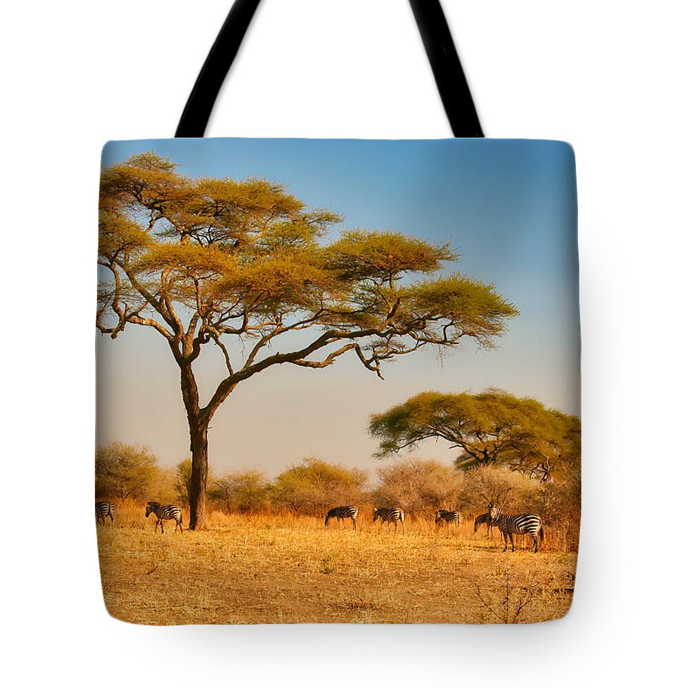 Africa Tote Bag featuring the photograph Acacia Tree and Zebras by Bruce Block