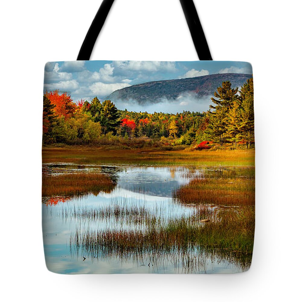  Tote Bag featuring the photograph Acadia Meadow by Gary Johnson