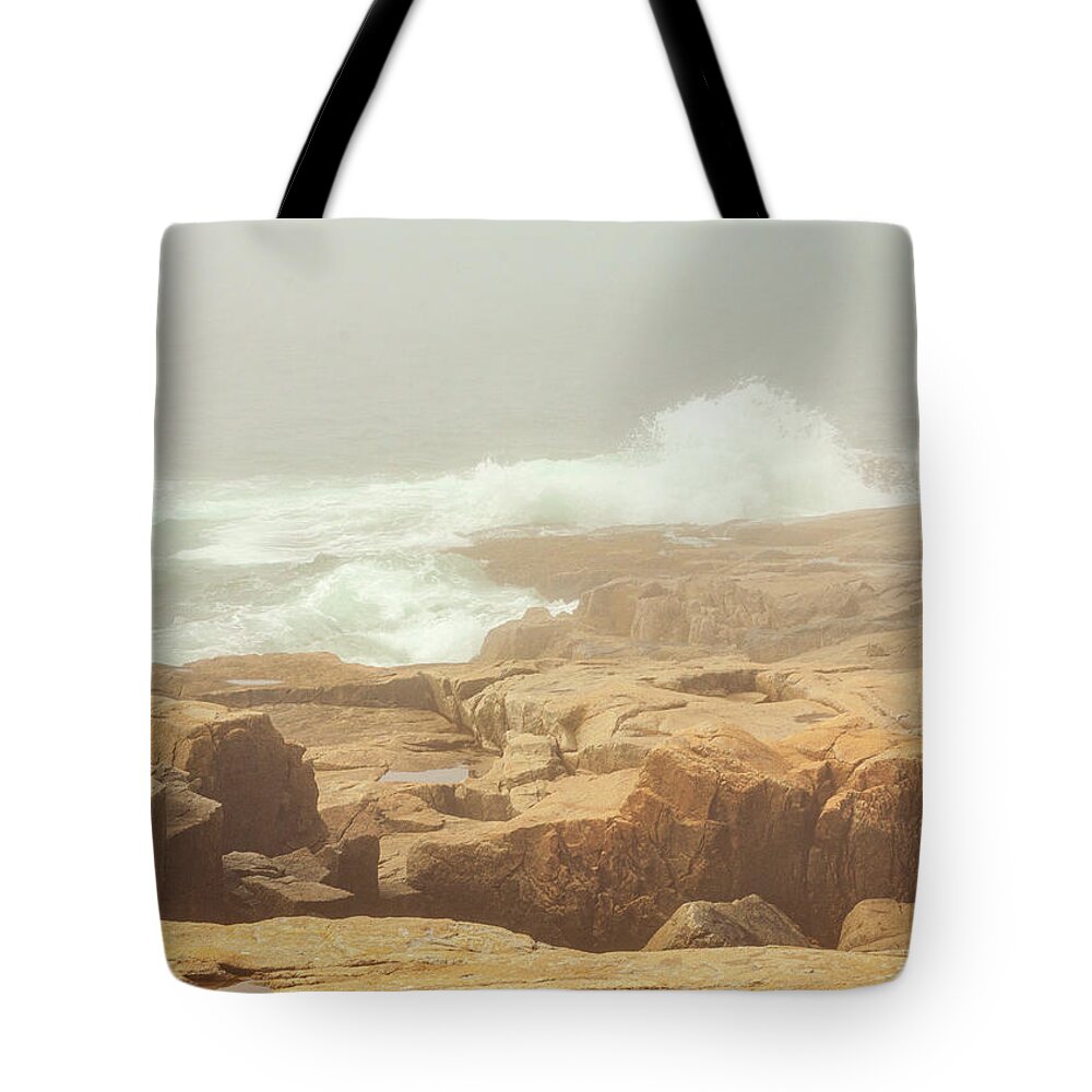 Acadia Tote Bag featuring the photograph Acadia National Park Fog by Amelia Pearn