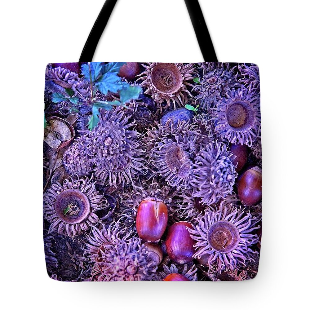 Abstract Tote Bag featuring the digital art Acorns, Pods, And Seeds by David Desautel