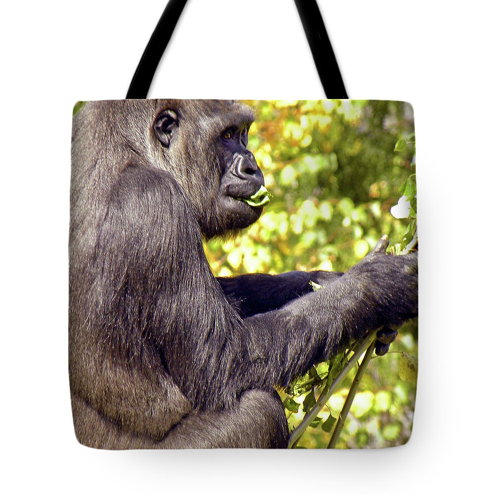 Primate Tote Bag featuring the photograph Lunchtime by Kerry Obrist