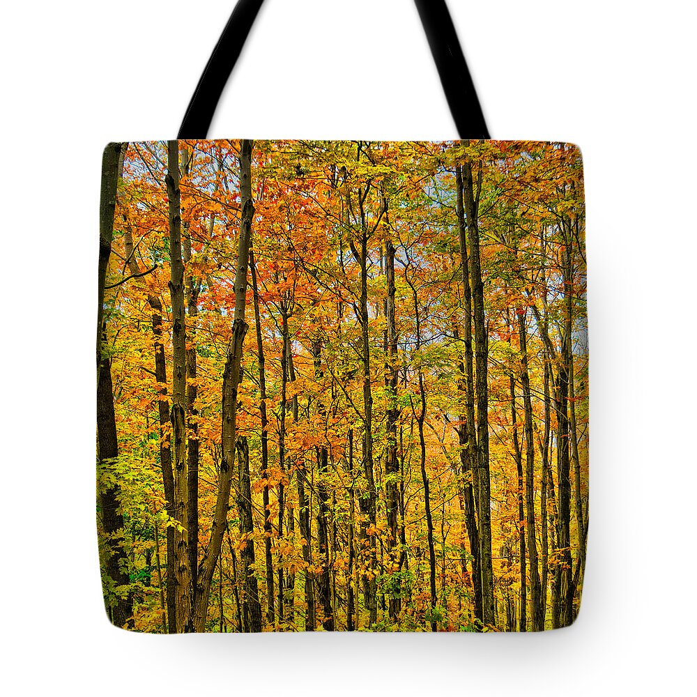 Nature Tote Bag featuring the photograph Adirondack Autumn by Judy Cuddehe
