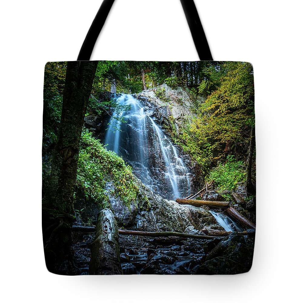 Fall Tote Bag featuring the photograph Adirondacks Autumn at Stag Brook Falls 2 by Ron Long Ltd Photography