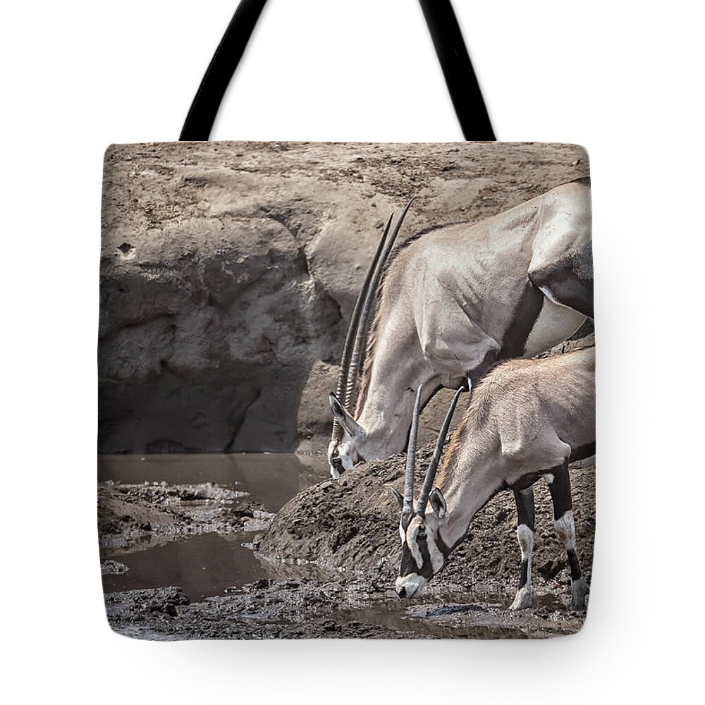 Oryx Tote Bag featuring the photograph Adult and Juvenile Oryx by Belinda Greb