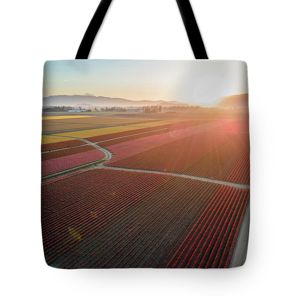 Skagit Tote Bag featuring the photograph Aerial Tulips1 by Michael Rauwolf