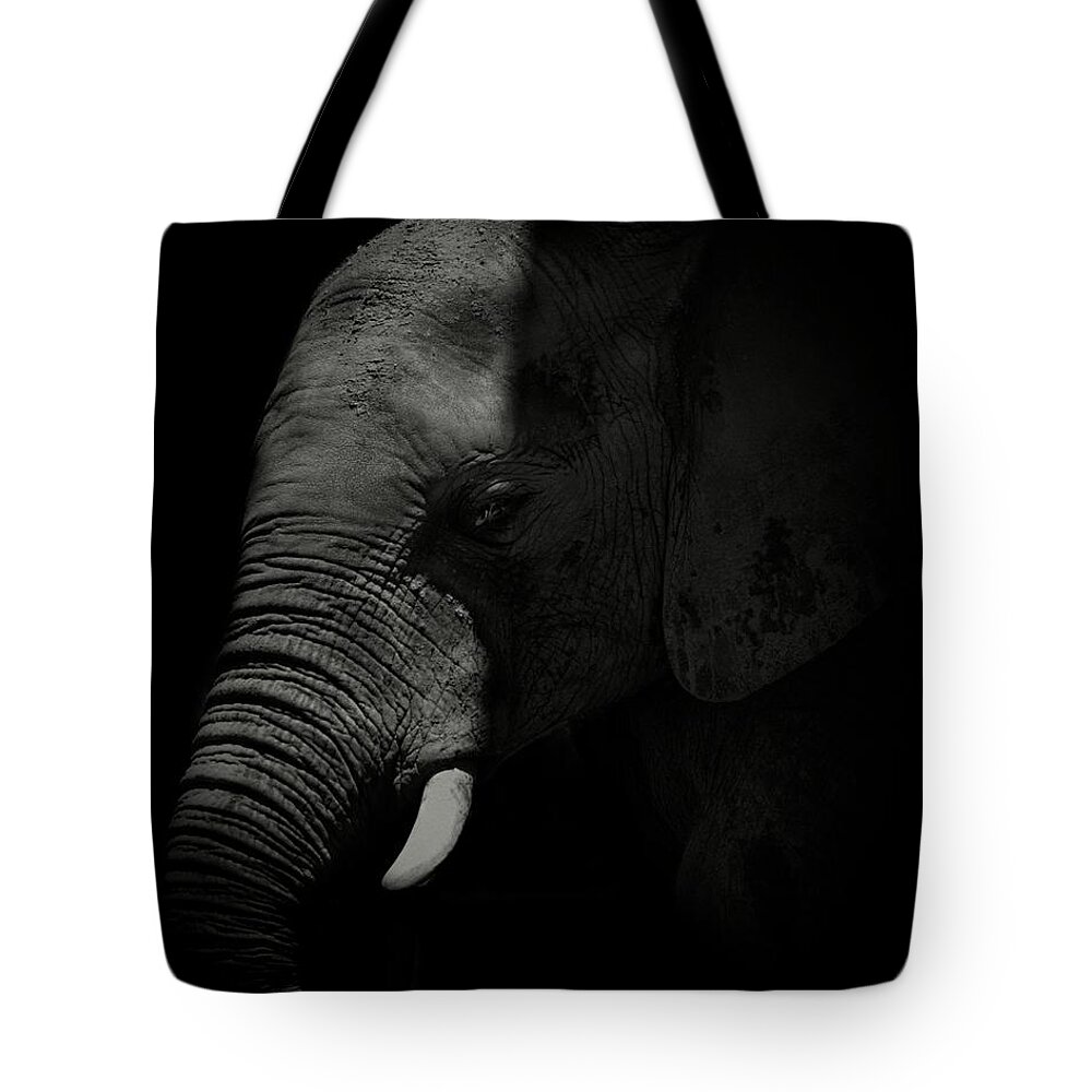 Photo Tote Bag featuring the photograph African Elephant #3 by Matthew Adelman