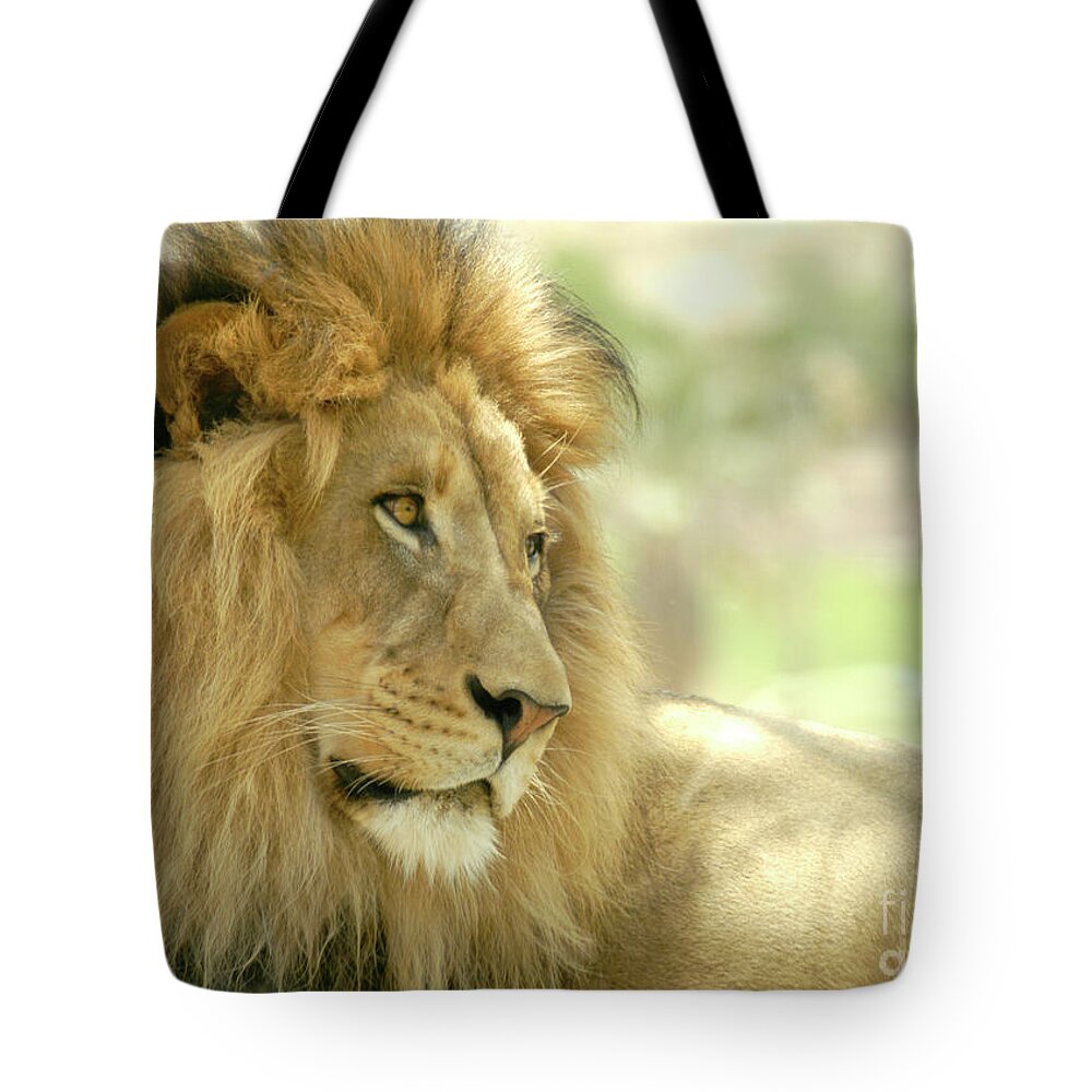 Africa Tote Bag featuring the photograph African male lion sits in the shade with the rest of his pride. by Gunther Allen