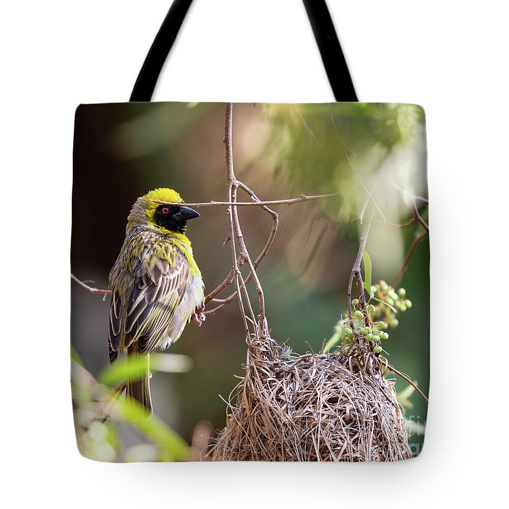 Southern Masked Weaver Tote Bag featuring the photograph African Masked Weaver Bird by Eva Lechner