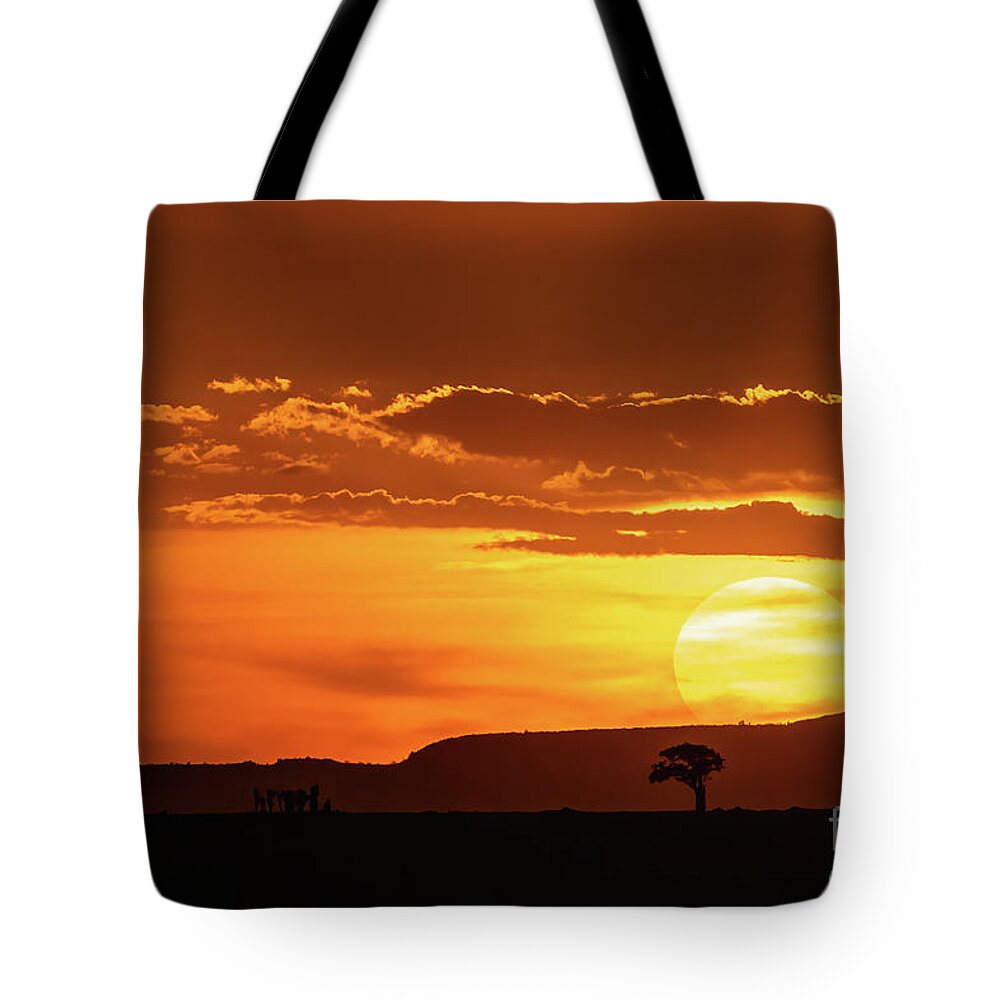 Nature Tote Bag featuring the photograph African sunset by Jane Rix