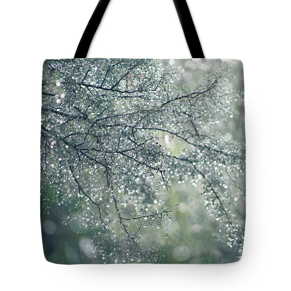 Rain Tote Bag featuring the photograph After The Rain Magic by Katie Dobies