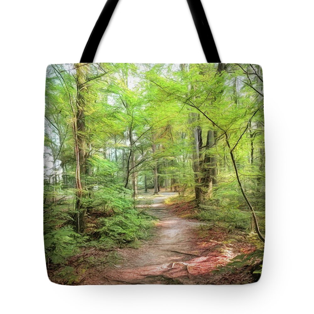 Nature Tote Bag featuring the photograph Afternoon Hike by Susan Hope Finley