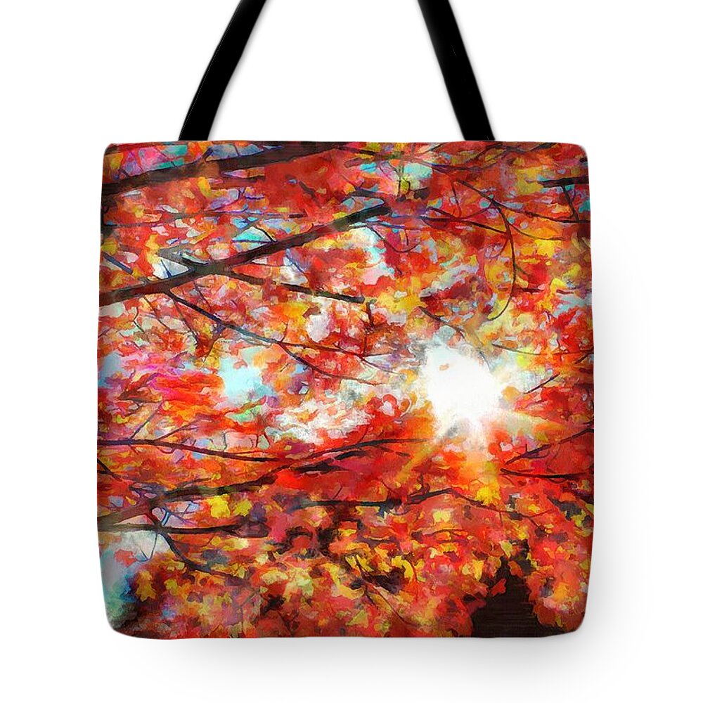 Sun Tote Bag featuring the photograph Afternoon's Fading Light by Christopher Reed