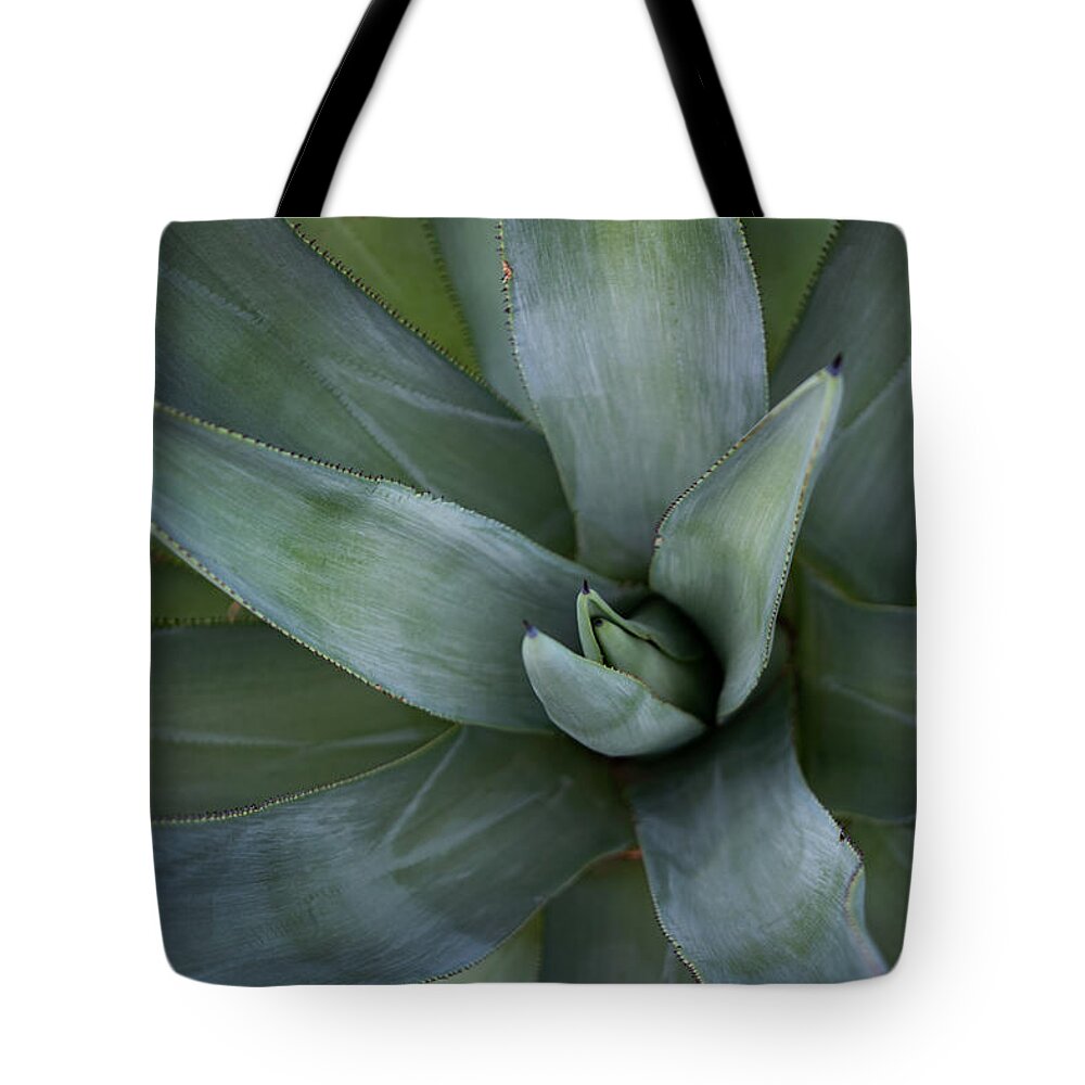 Agave Tote Bag featuring the photograph Agave by Bonny Puckett