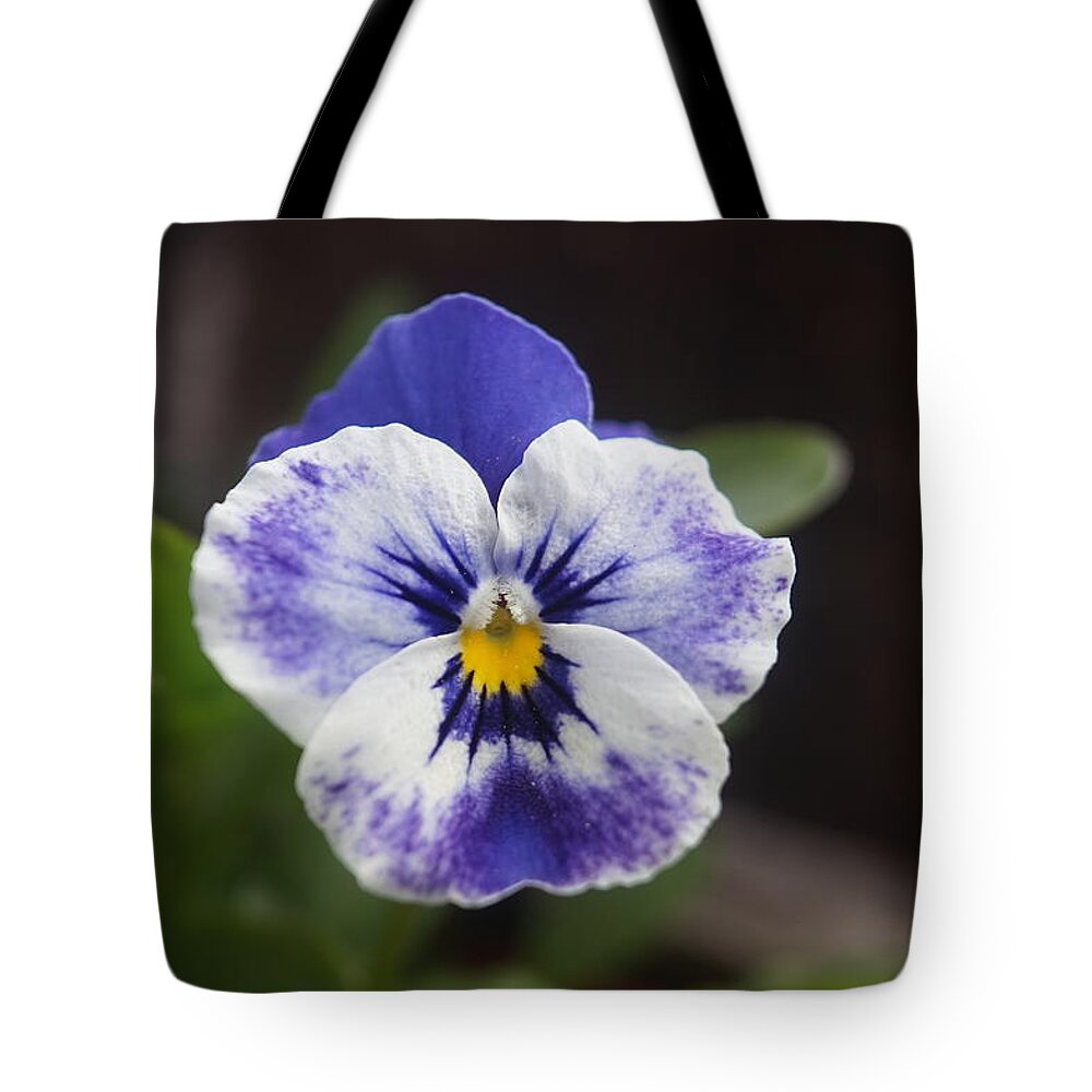 Macro Tote Bag featuring the photograph Aged pansy. MacFlower. by Elena Perelman